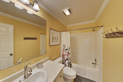 Secluded Escape Near Downtown & Biltmore Fun home image 15